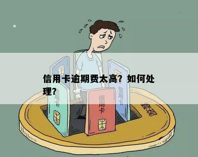 信用卡逾期费太高？如何处理？