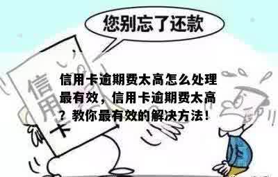 信用卡逾期费太高怎么处理最有效，信用卡逾期费太高？教你最有效的解决方法！