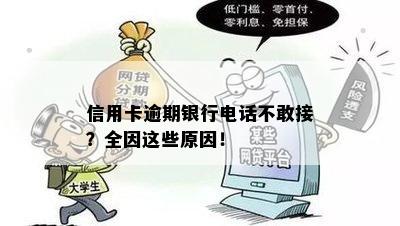 信用卡逾期银行电话不敢接？全因这些原因！