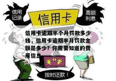 信用卡逾期半个月罚款多少钱，信用卡逾期半月罚款金额是多少？你需要知道的费用信息