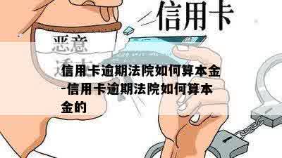 信用卡逾期法院如何算本金-信用卡逾期法院如何算本金的