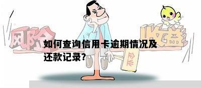 如何查询信用卡逾期情况及还款记录？