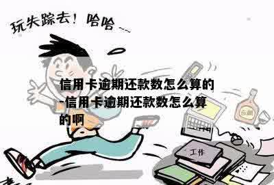 信用卡逾期还款数怎么算的-信用卡逾期还款数怎么算的啊