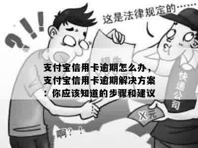 支付宝信用卡逾期怎么办，支付宝信用卡逾期解决方案：你应该知道的步骤和建议