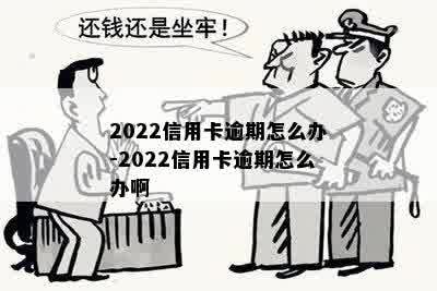 2022信用卡逾期怎么办-2022信用卡逾期怎么办啊