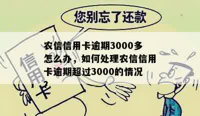 农信信用卡逾期3000多怎么办，如何处理农信信用卡逾期超过3000的情况？