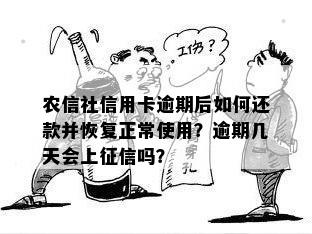 农信社信用卡逾期后如何还款并恢复正常使用？逾期几天会上征信吗？