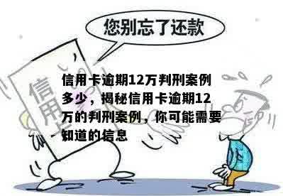 信用卡逾期12万判刑案例多少，揭秘信用卡逾期12万的判刑案例，你可能需要知道的信息