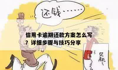 信用卡逾期还款方案怎么写？详细步骤与技巧分享