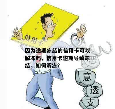 因为逾期冻结的信用卡可以解冻吗，信用卡逾期导致冻结，如何解冻？