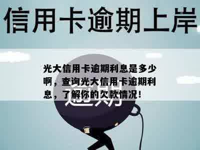 光大信用卡逾期利息是多少啊，查询光大信用卡逾期利息，了解你的欠款情况！