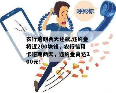 农行逾期两天还款,违约金将近200块钱，农行信用卡逾期两天，违约金高达200元！