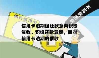 信用卡逾期但还款意向积极催收，积极还款意愿，面对信用卡逾期的催收