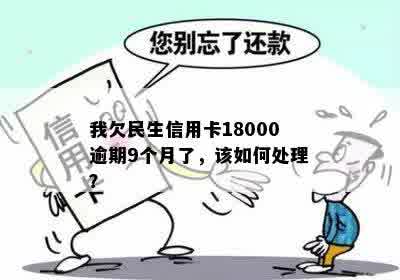 我欠民生信用卡18000逾期9个月了，该如何处理？