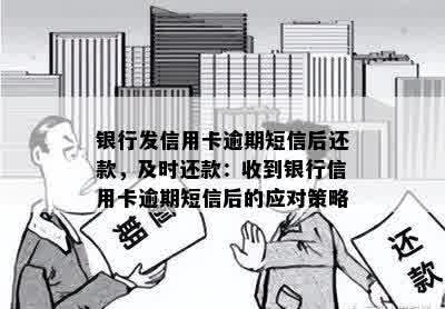 银行发信用卡逾期短信后还款，及时还款：收到银行信用卡逾期短信后的应对策略