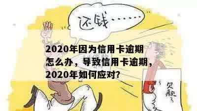 2020年因为信用卡逾期怎么办，导致信用卡逾期，2020年如何应对？