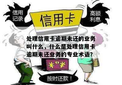 处理信用卡逾期未还的业务叫什么，什么是处理信用卡逾期未还业务的专业术语？