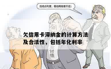 欠信用卡滞纳金的计算方法及合法性，包括年化利率