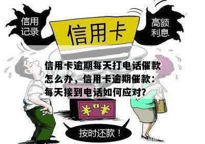 信用卡逾期每天打电话催款怎么办，信用卡逾期催款：每天接到电话如何应对？