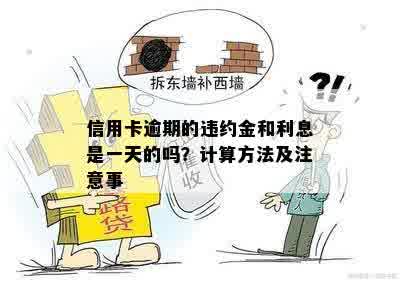 信用卡逾期的违约金和利息是一天的吗？计算方法及注意事