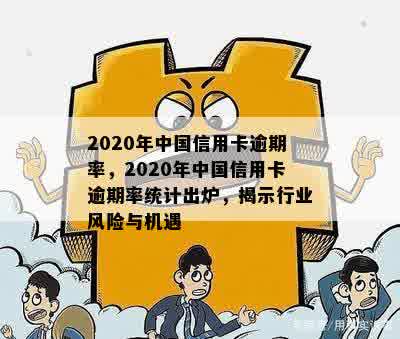 2020年中国信用卡逾期率，2020年中国信用卡逾期率统计出炉，揭示行业风险与机遇