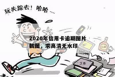 2020年信用卡逾期图片截图，求高清无水印