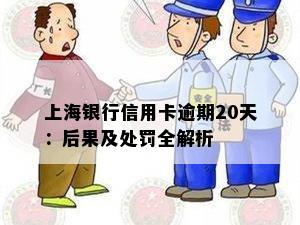 上海银行信用卡逾期20天：后果及处罚全解析