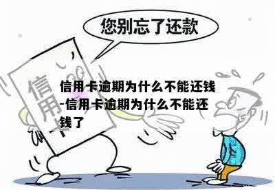 信用卡逾期为什么不能还钱-信用卡逾期为什么不能还钱了