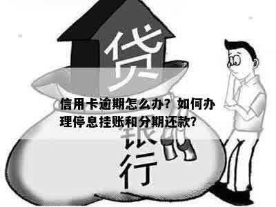 信用卡逾期怎么办？如何办理停息挂账和分期还款？