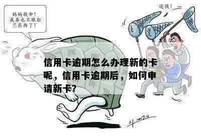 信用卡逾期怎么办理新的卡呢，信用卡逾期后，如何申请新卡？