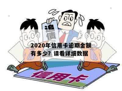 2020年信用卡逾期金额有多少？请看详细数据