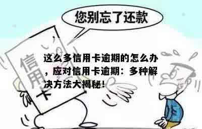 这么多信用卡逾期的怎么办，应对信用卡逾期：多种解决方法大揭秘！