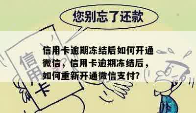 信用卡逾期冻结后如何开通微信，信用卡逾期冻结后，如何重新开通微信支付？