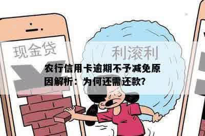 农行信用卡逾期不予减免原因解析：为何还需还款？