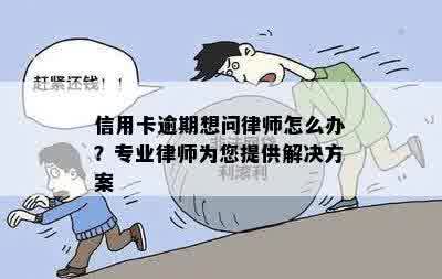 信用卡逾期想问律师怎么办？专业律师为您提供解决方案