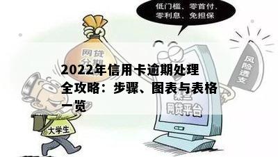 2022年信用卡逾期处理全攻略：步骤、图表与表格一览