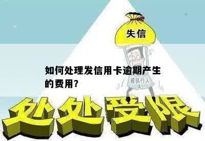 如何处理发信用卡逾期产生的费用？