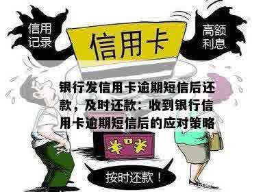 银行发信用卡逾期短信后还款，及时还款：收到银行信用卡逾期短信后的应对策略