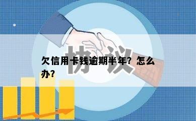 欠信用卡钱逾期半年？怎么办？