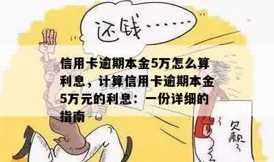 信用卡逾期本金5万怎么算利息，计算信用卡逾期本金5万元的利息：一份详细的指南