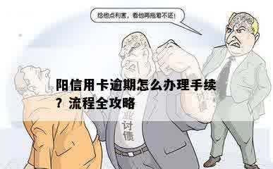 阳信用卡逾期怎么办理手续？流程全攻略