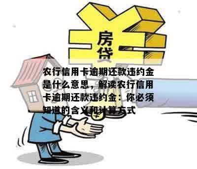 农行信用卡逾期还款违约金是什么意思，解读农行信用卡逾期还款违约金：你必须知道的含义和计算方式