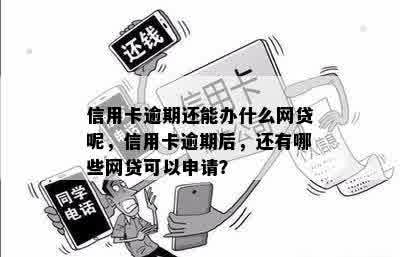 信用卡逾期还能办什么网贷呢，信用卡逾期后，还有哪些网贷可以申请？