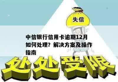 中信银行信用卡逾期12月如何处理？解决方案及操作指南