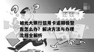 被光大银行信用卡逾期极警告怎么办？解决方法与办理流程全解析