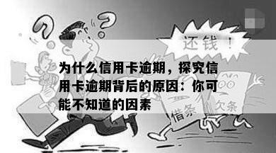 为什么信用卡逾期，探究信用卡逾期背后的原因：你可能不知道的因素