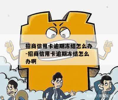 招商信用卡逾期冻结怎么办-招商信用卡逾期冻结怎么办啊