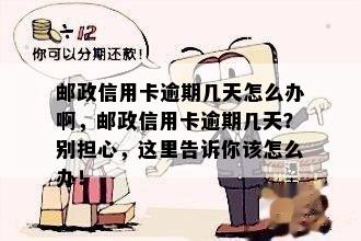 邮政信用卡逾期几天怎么办啊，邮政信用卡逾期几天？别担心，这里告诉你该怎么办！