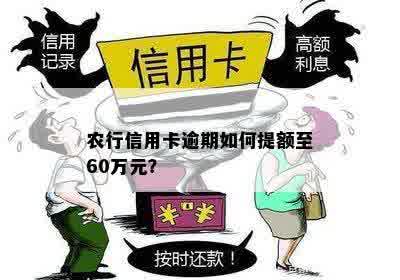 农行信用卡逾期如何提额至60万元？