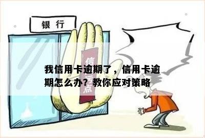 我信用卡逾期了，信用卡逾期怎么办？教你应对策略